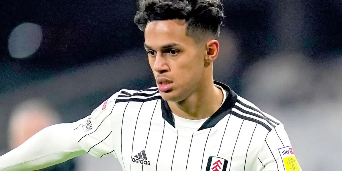 19-year-old Portuguese arrives from Fulham.