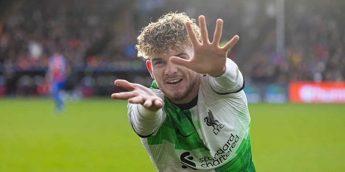 A well-known pro-English football player unveils Dragon Ball's Kamehameha after scoring the winning goal against Crystal Palace.