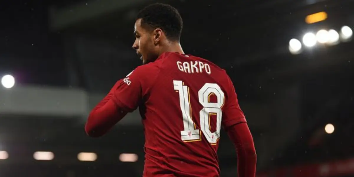 Cody recently arrived at Anfield from PSV for a fee in the region of 50 million euros