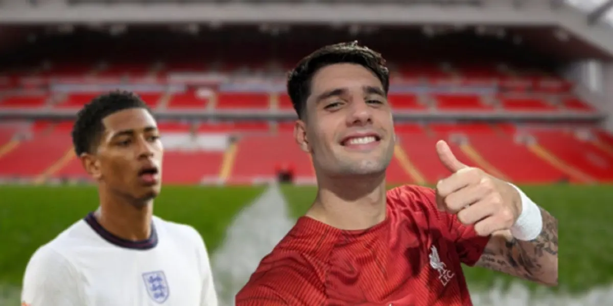 Dominik is the reinforcement Liverpool needed