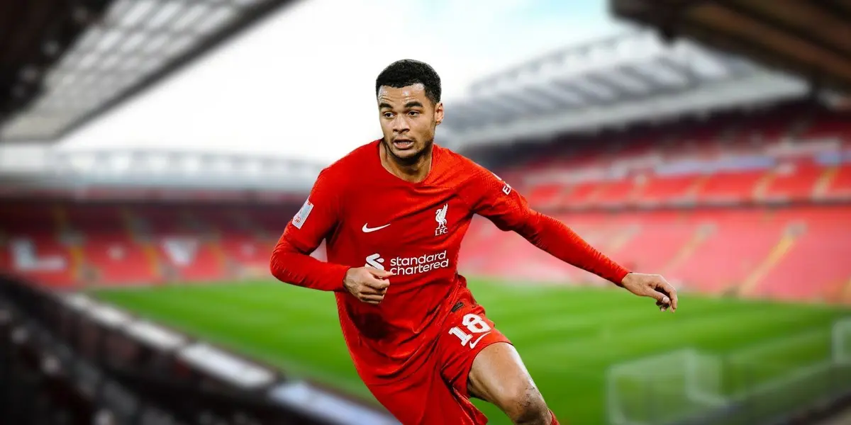 The Dutch attacker loves the project on Merseyside