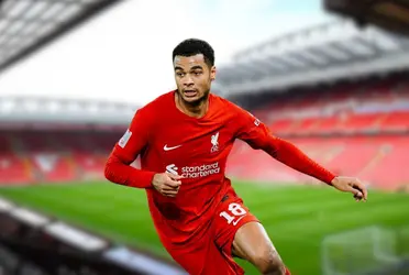 The Dutch attacker loves the project on Merseyside