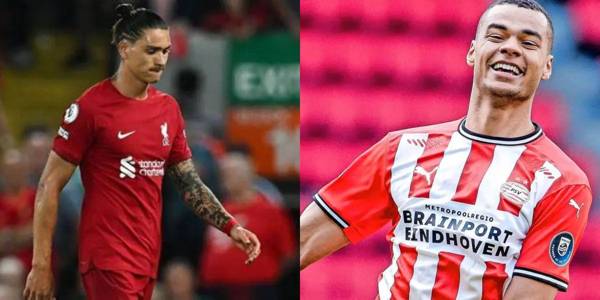 The Uruguayan striker did not train with Liverpool on Thursday and is a doubt for Saturday's game against Brighton