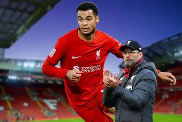 Will Cody Gakpo be the right replacement?