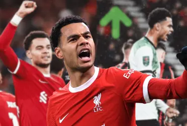 Cody Gakpo celebrating a goal