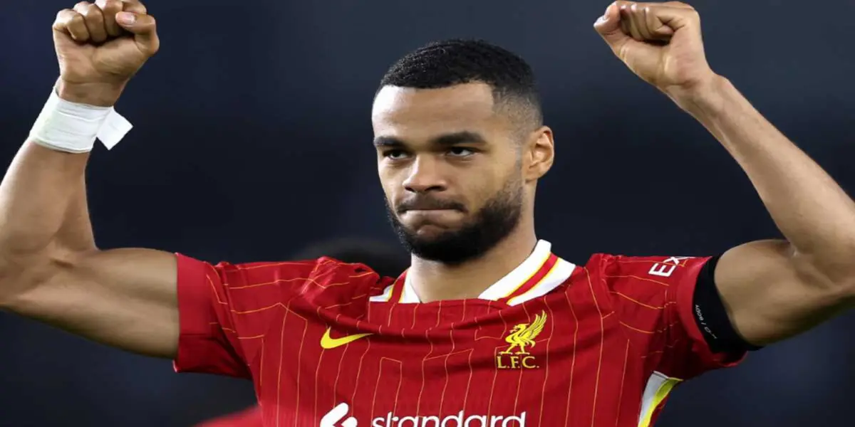 Cody Gakpo is enjoying a great spell at Liverpool