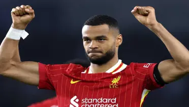 Cody Gakpo is enjoying a great spell at Liverpool