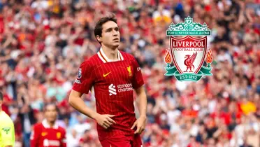 Federico Chiesa Photo: Fichajes, Escudoteca